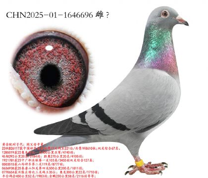 16.����һ���Ǿ�ƽ��.1646696