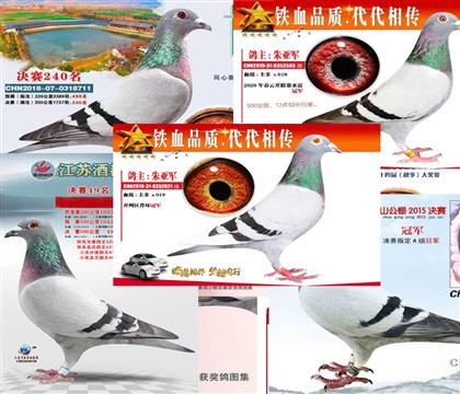 ����������ھ���ǰ��