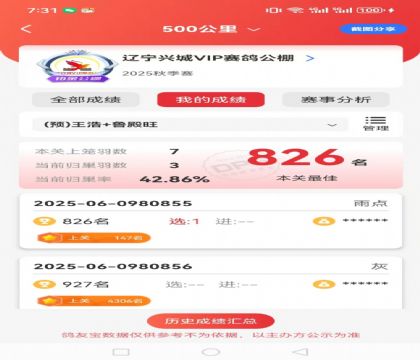 雌鸽成绩(同窝两羽全部入赏赢5000