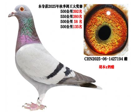 ����x����