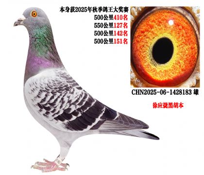 ��Ӧ�ݺں���