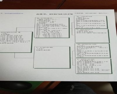 ����Ѫͳ��