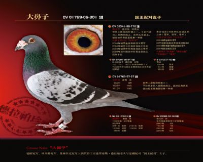 ��������ӣ������ʺ�