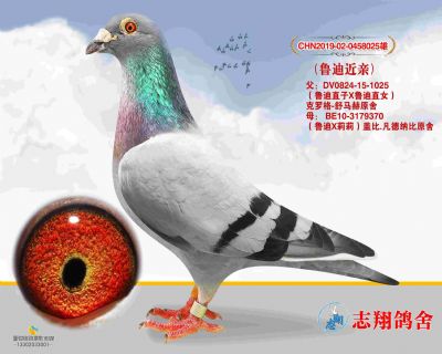 ³�Ͻ���ֱ��x³��ֱŮ