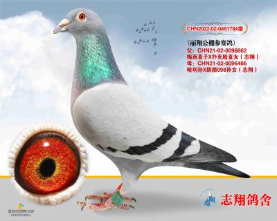 ���蹫�������