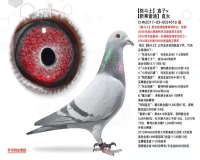 ĸ����ʿ��Ů