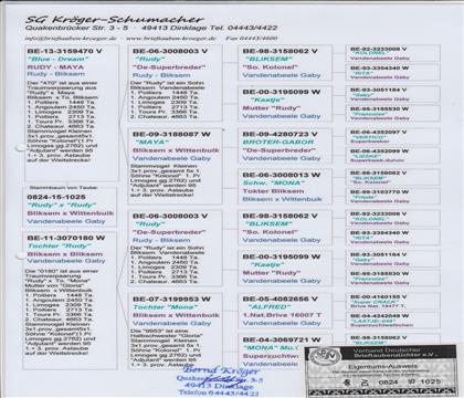 ����Ѫͳ��