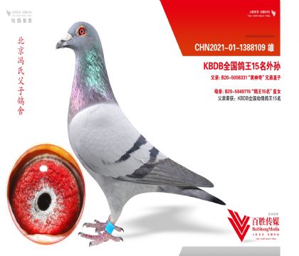 KBDBȫ����������-1388109