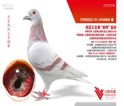 ˫����ȫ�ܡ����ء�ֱ��-0148868