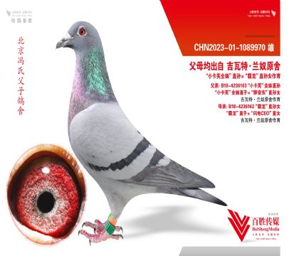 ��ūȫ���ھ�ֱ��-1089970