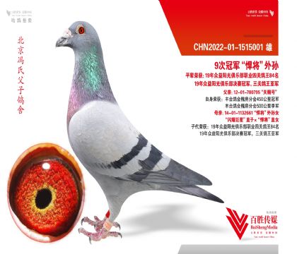 9�ιھ�������������-1515001