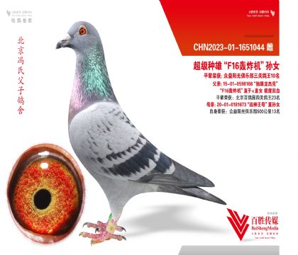 ��F16��ը����ֱ��Ů-1651044