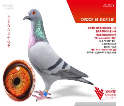 �������ֲ�15��-1742213