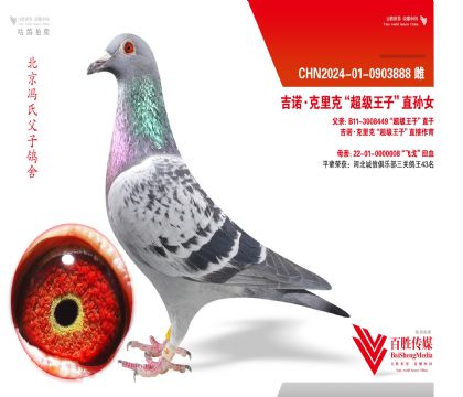 ��ŵ����ˡ��������ӡ�ֱ��Ů-0903888