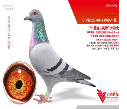 ��С�¿ˡ�ܽ�ء���Ů-2110981