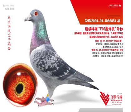 ����95����145����F16��ը����-1086854