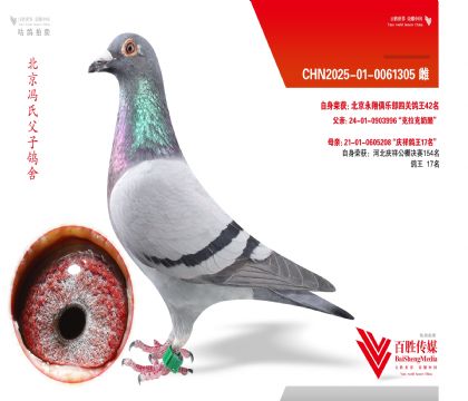 ������ֲ��Ĺظ���42��-0061305