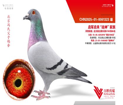 ����������ս��Ѫϵ-0061323