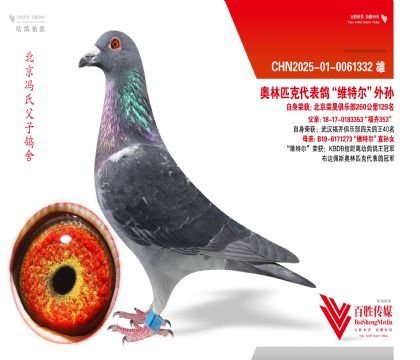 �ٺƾ��ֲ�129��-0061332