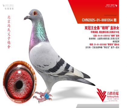 ˫����ȫ�ܡ����ء�ֱ��Ů-0061354