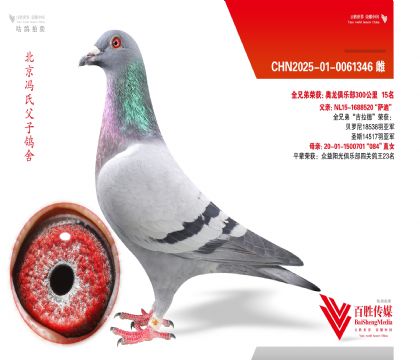 ��������������ȫ���Ǿ��������¡�ȫ�ֵ�ֱŮ-0061346