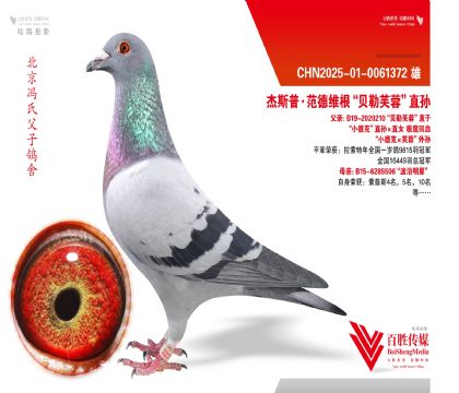 ��С�¿ˡ�ܽ�ء�ֱ��Ů-0061372