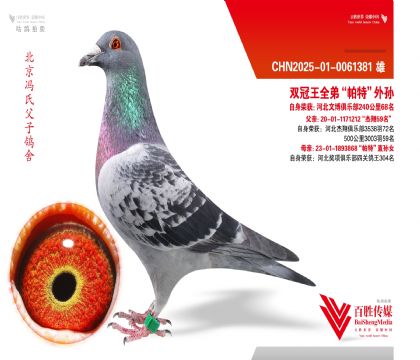 �Ĳ����ֲ�68����˫����ȫ�ܡ����ء�����-0061381