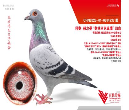 ���¡�����ƥ��003����Ů-0614933