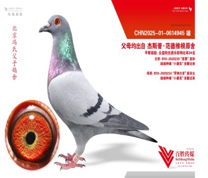 �������ۡ�С�¿ˡ����ػ�Ѫ-0614945