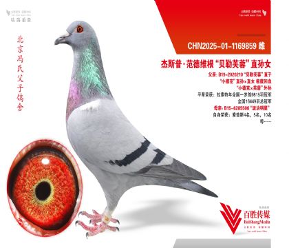 ��С�¿ˡ�ܽ�ء�ֱ��Ů-1169859