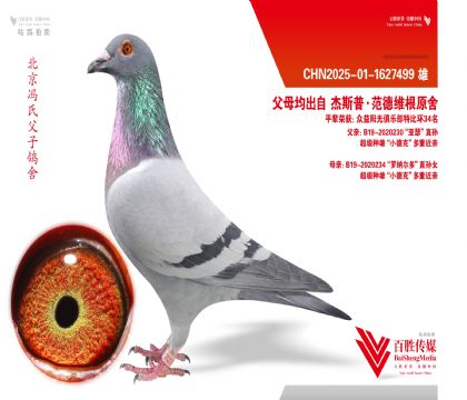 �������ۡ�С�¿ˡ����ػ�Ѫ-1627499