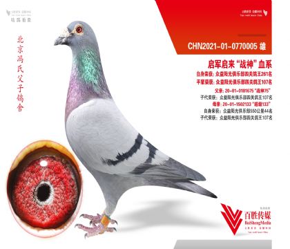 �����������������������ս�񡱼���-0770005