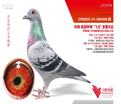 ���ȡ��ɸꡱ���ػ�Ѫ-0000008