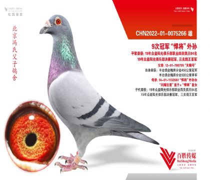 9�ιھ�������������-0075266