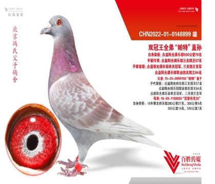 ��������78����˫����ȫ�ܡ����ء�ֱ��-0148899