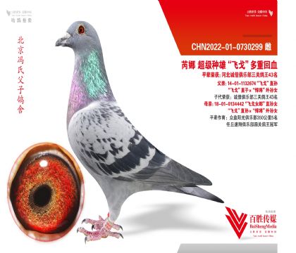 ���ȡ��ɸꡱ���Ȼ�Ѫ-0730299