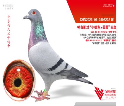 ��С�¿ˡ�ܽ�ء����Ȼ�Ѫ-0906222