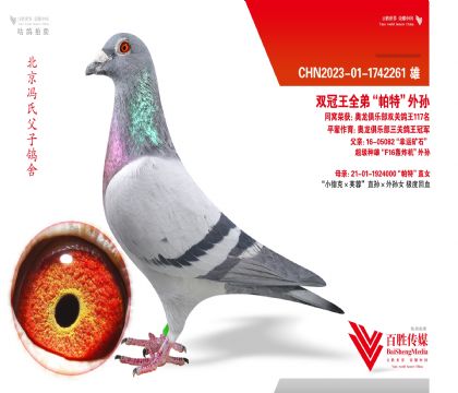 ˫����ȫ�ܡ����ء�����-1742261