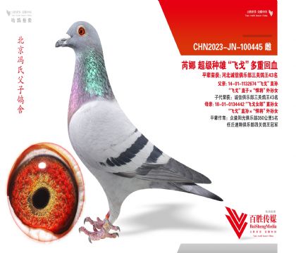 ���ȡ��ɸꡱ���ػ�Ѫ-100445