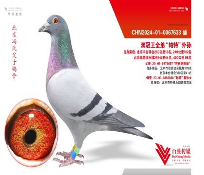 ��̨���12�����������ֲ�44��-0067633