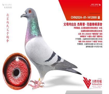 ��С�¿ˡ�ܽ�ء����ػ�Ѫ-1412888