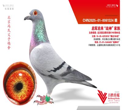 �����ٽ���ֲ�66��������������ս�񡱼���-0061324