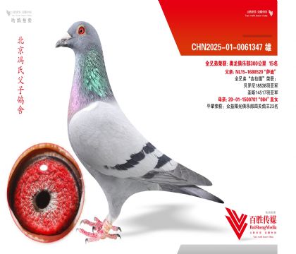 ��������������ȫ���Ǿ��������¡�ȫ�ֵ�ֱ��-0061347