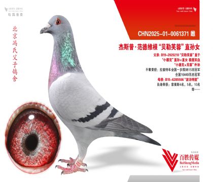 ��С�¿ˡ�ܽ�ء�ֱ��Ů-0061371