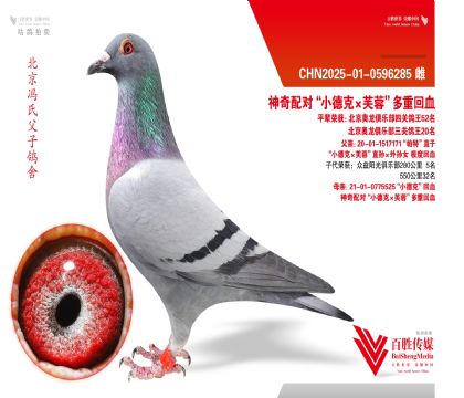 ˫����ȫ�ܡ����ء�ֱ��Ů-0596285