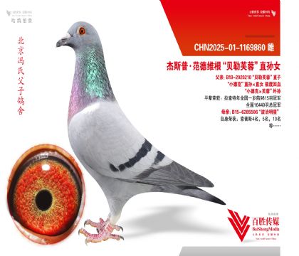 ��С�¿ˡ�ܽ�ء�ֱ��Ů-1169860