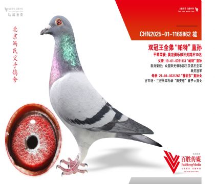 ˫����ȫ�ܡ����ء�ֱ��-1169862