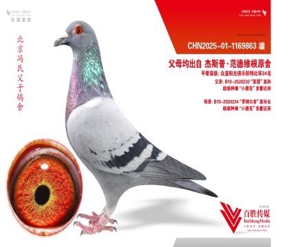 �������ۡ�С�¿ˡ����ػ�Ѫ-1169863