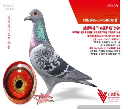 �������ۡ�F16��ը����Ѫϵ-1340339