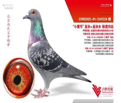 ��Сӥ�š�ֱ���ֱ��Ů ���Ȼ�Ѫ-1341224